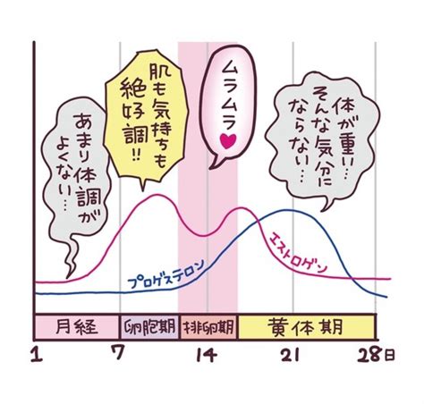 生理周期 ムラムラ|女性の性欲！生理との関係は？性欲が高まる時期はい。